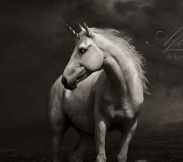 轰炸手机短信软件