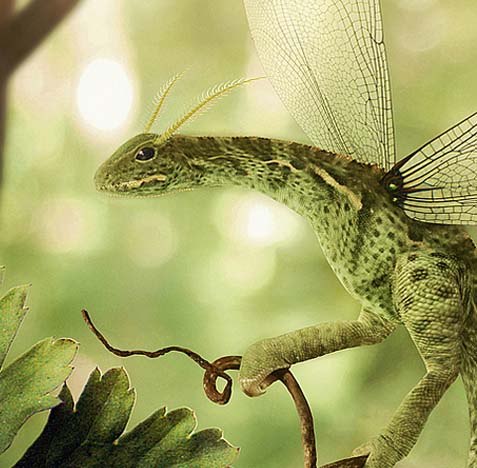 在线轰炸网页版