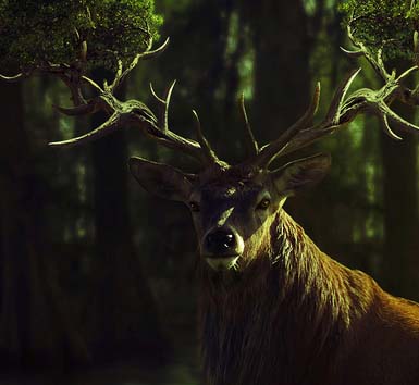 手机号轰在线网页版入口